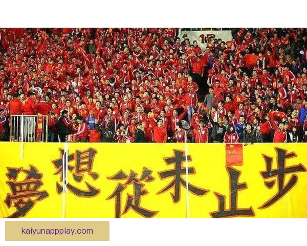 2026年世界杯参赛队伍全解析：扩军后的新格局与强队动态